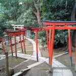 Tokyo: Nezu Shrine Guided Tour with Azalea Festival - Practical Tips for Visitors