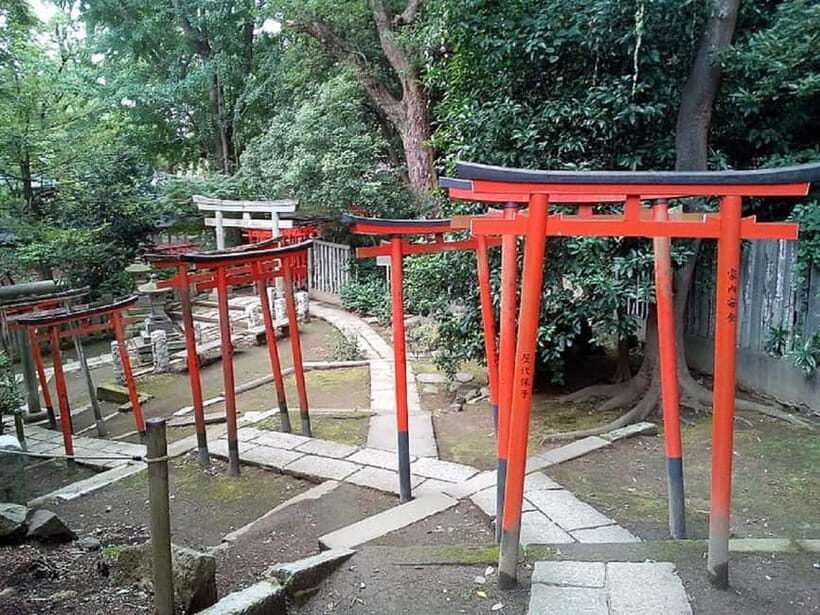 Tokyo: Nezu Shrine Guided Tour with Azalea Festival - Practical Tips for Visitors
