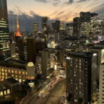 Tokyo Night Tour - Who Should Consider This Tour?