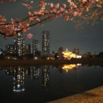 Tokyo Night Tour Akihabara, Shibuya, Karaoke and City Lights - Final Thoughts