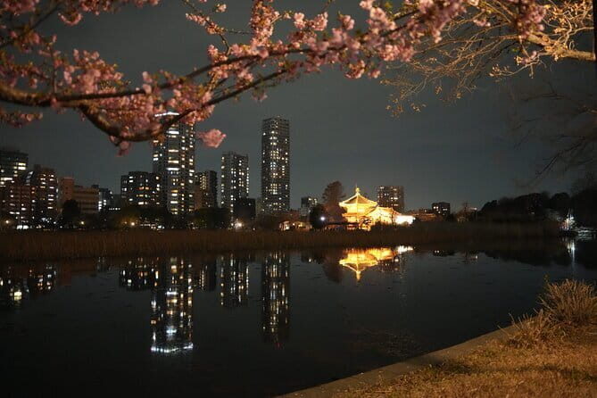 Tokyo Night Tour Akihabara, Shibuya, Karaoke and City Lights - Final Thoughts