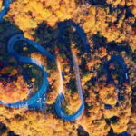 Tokyo: Nikko Autumn Irohazaka, Kegon Falls & Watarase Rail - What Travelers Say