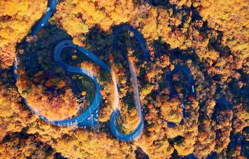 Tokyo: Nikko Autumn Irohazaka, Kegon Falls & Watarase Rail - What Travelers Say