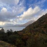 Tokyo: Nikko Day Tour with Private Vehicle and Guide - The Practicalities: What You Need to Know