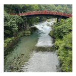 Tokyo: Nikko Kegon Falls Lake Chuzenji Toshogu Temple & More - Who Is This Tour Best For?