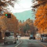 Tokyo: Nikko Private Day Tour with English Speaking Driver - Detailed Review of the Nikko Private Day Tour