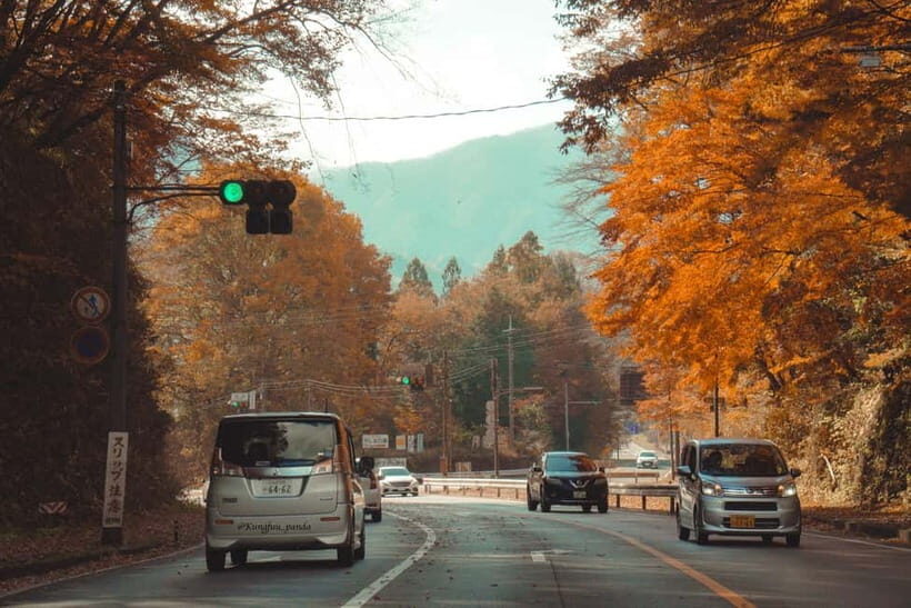 Tokyo: Nikko Private Day Tour with English Speaking Driver - Detailed Review of the Nikko Private Day Tour