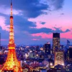 Tokyo One day Private Tour with English speaking Driver - In-Depth Look at the Tour