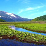 Tokyo: Oze Marshland Hiking Day Trip via Hatomachi Pass - What’s Included and What’s Not
