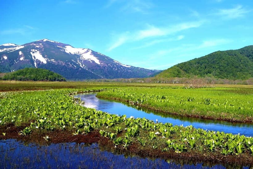 Tokyo: Oze Marshland Hiking Day Trip via Hatomachi Pass - What’s Included and What’s Not