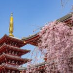 Tokyo Personalized Full-day Tour Led by a Local Expert - Frequently Asked Questions