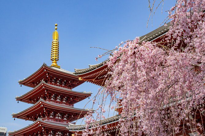 Tokyo Personalized Full-day Tour Led by a Local Expert - Frequently Asked Questions