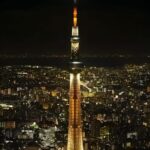Tokyo: Private City Highlights Tour With Eng Speaking Driver - Who Will Love This Tour?