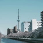 Tokyo: Private Customizable City Tour with Chauffeur - The Sum Up