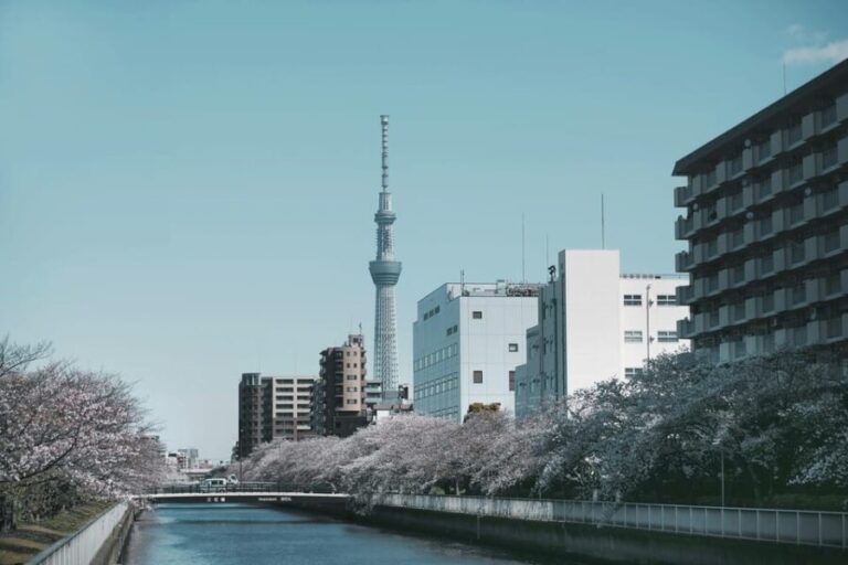 Tokyo: Private Customizable City Tour with Chauffeur - The Sum Up