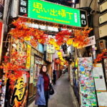 Tokyo: Private & Customizable Tour - All-in-One Experience - A Tour Breakdown: What You Can Expect