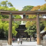 Tokyo Private Day Tour by Car with English speaking Driver - Authentic Experiences and Feedback from Travelers