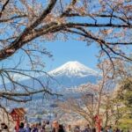 Tokyo: Private Day Trip to Mount Fuji and Hakone - Detailed Review of the Mount Fuji and Hakone Day Trip