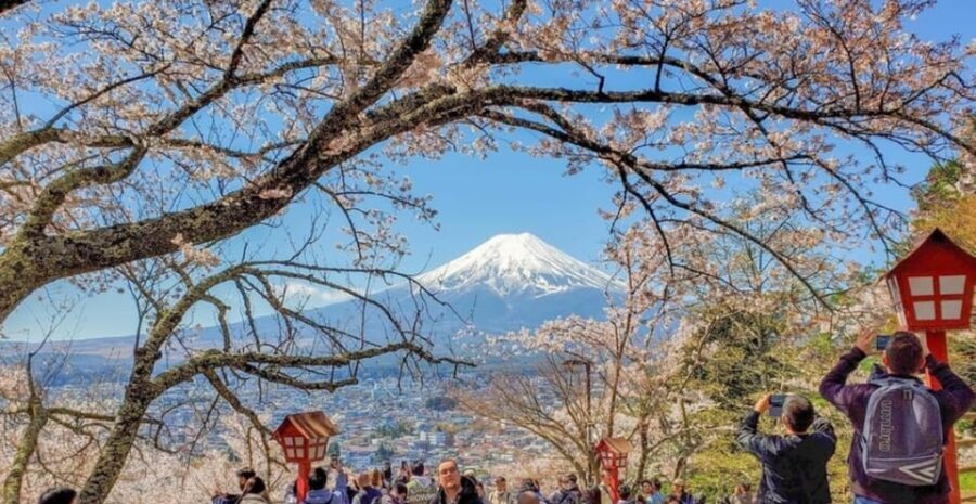 Tokyo: Private Day Trip to Mount Fuji and Hakone - Detailed Review of the Mount Fuji and Hakone Day Trip