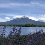 Tokyo: Private Day Trip to Mount Hakone and Lake Ashi - The Itinerary in Detail