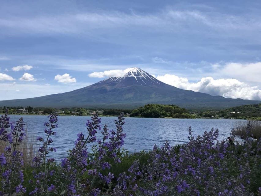 Tokyo: Private Day Trip to Mount Hakone and Lake Ashi - The Itinerary in Detail