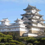 Tokyo: Private Full day Guided Tour with an English Driver - Insights from a Satisfied Traveler