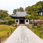 Tokyo: Private Full-Day Sightseeing Tour with English Driver - Why This Tour Works for You