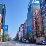 Tokyo: Private Full-Day Tour with Hotel Pickup - Practical Details and Value