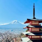 Tokyo: Private Half-Day Tour by Car with Local Guide - Detailed Itinerary Breakdown