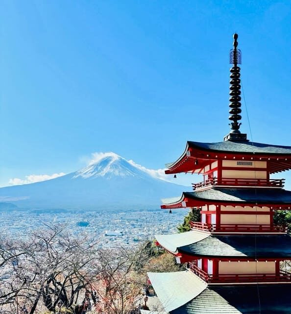 Tokyo: Private Half-Day Tour by Car with Local Guide - Detailed Itinerary Breakdown