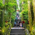 Tokyo: Private Mount Fuji and Hakone Day Trip with Guide - Why This Tour Works (and Why It Might Not)