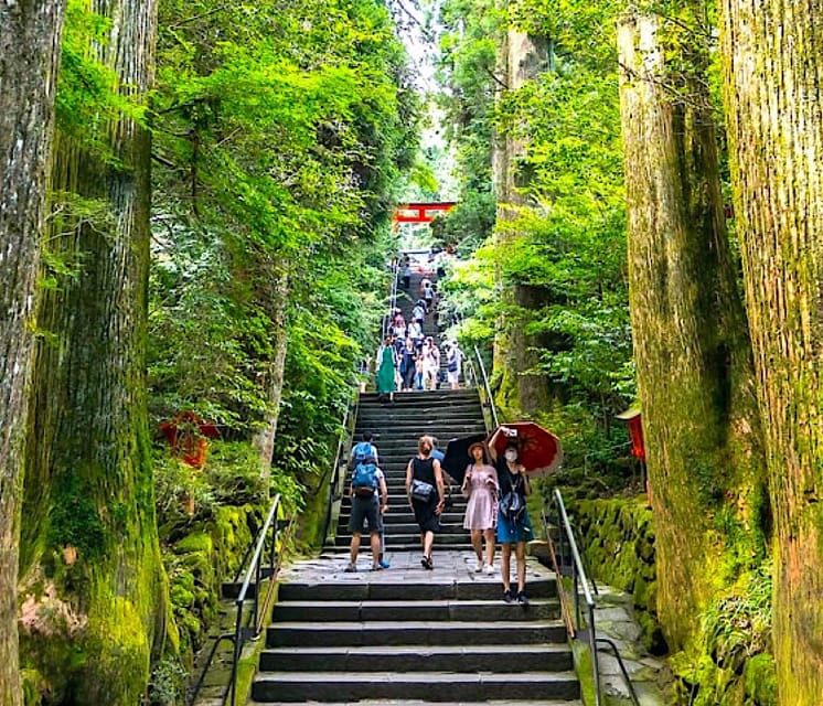 Tokyo: Private Mount Fuji and Hakone Day Trip with Guide - Why This Tour Works (and Why It Might Not)