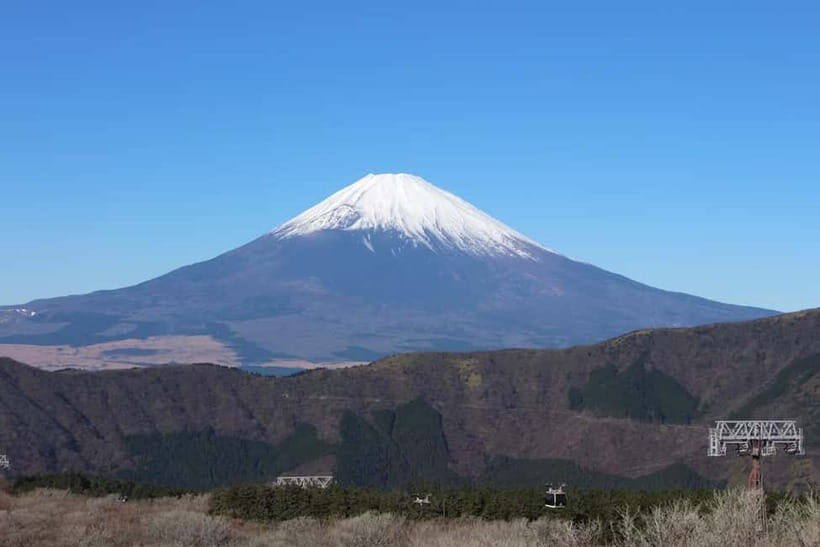 Tokyo: Private Mount Fuji Day Trip with Private Guide - Final Thoughts