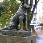 Tokyo Private SightSeeing Day Tour - Final Thoughts