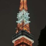 Tokyo: Private Tokyo Tower and Night Food Tour 6pm - An In-Depth Look at the Tokyo Night Food & Sightseeing Tour