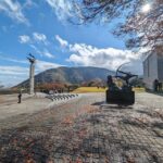 Tokyo private tour by car with pick up - The Sum Up