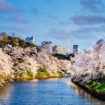 Tokyo Private Tour by Vehicle with English-Speaking Chauffeur - Final Thoughts