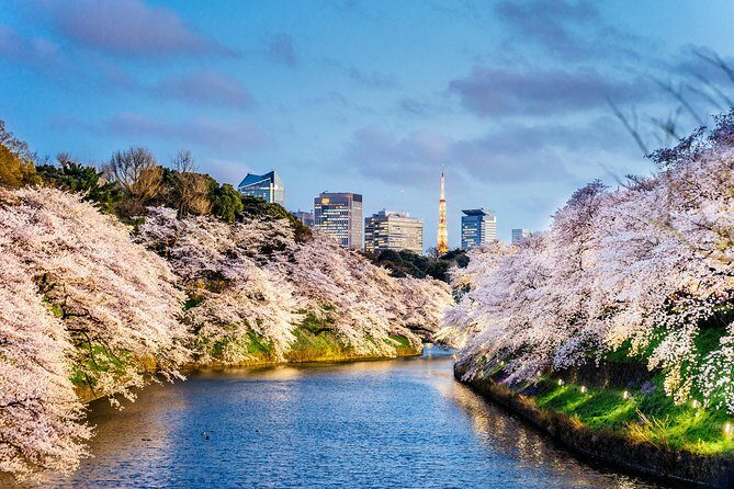 Tokyo Private Tour by Vehicle with English-Speaking Chauffeur - Final Thoughts