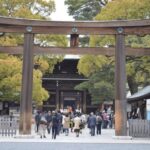 Tokyo Private Tour  Custom Itinerary & Hotel Pickup - Who Would Enjoy This Tour?