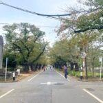 Tokyo: Private tour of Beckoning Cat Painting at Yanaka - The Itinerary: What You Can Expect