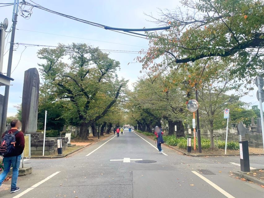 Tokyo: Private tour of Beckoning Cat Painting at Yanaka - The Itinerary: What You Can Expect