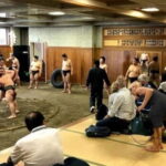 Tokyo: Private Tour & Sumo Wrestler Morning Practice Viewing - Final Thoughts: Who Will Appreciate This Tour?