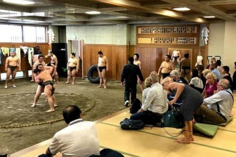 Tokyo: Private Tour & Sumo Wrestler Morning Practice Viewing - Final Thoughts: Who Will Appreciate This Tour?
