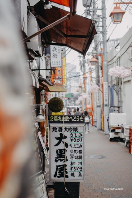 Tokyo : private tour with an expert ! - Key Points