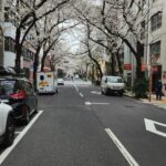 Tokyo Private Tour With English Speaking Driver - Final Thoughts: Is This Tour Worth It?