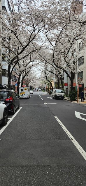 Tokyo Private Tour With English Speaking Driver - Final Thoughts: Is This Tour Worth It?