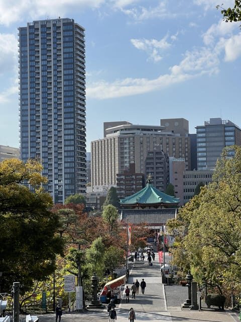 TOKYO Private visit guide Speaking French - Exploring the Details of the Tokyo Private Guide Tour