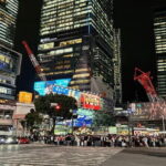 Tokyo: Shibuya Highlights Walking Tour & Secret Backstreets - Who Should Book This Tour?