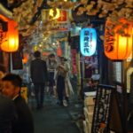 Tokyo: Shinjuku Bar Hopping with All-You-Can-Drink & Dinner - Who Would Love This Tour?