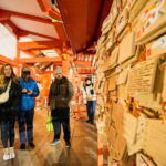 Tokyo: Shinjuku Nightlife & Secret Backstreets Walking Tour - Who Will Enjoy This Tour?